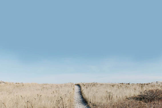 photo of road with fields on either side against a horizon. Backdrop for Partners in Fertility program